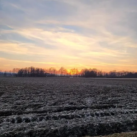 Ferienwohnung Stoisser Mureck Buitenkant foto